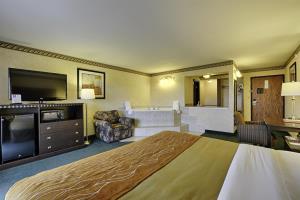 Hotel Comfort Inn Airport