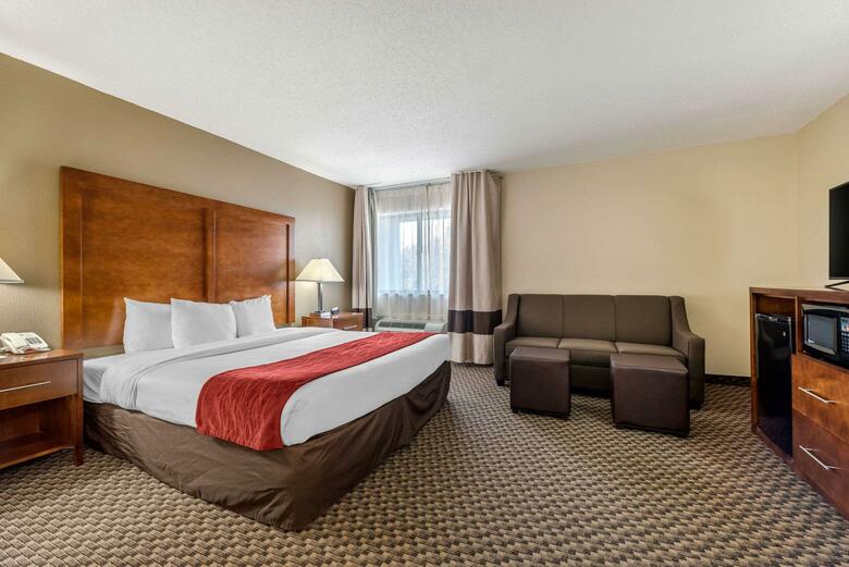 Hotel Comfort Inn South