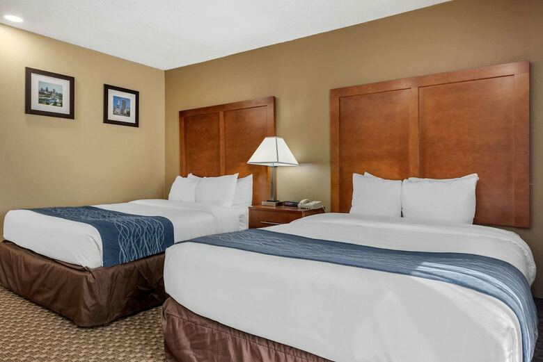 Hotel Comfort Inn South