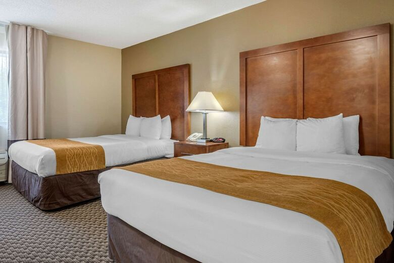 Hotel Comfort Inn South