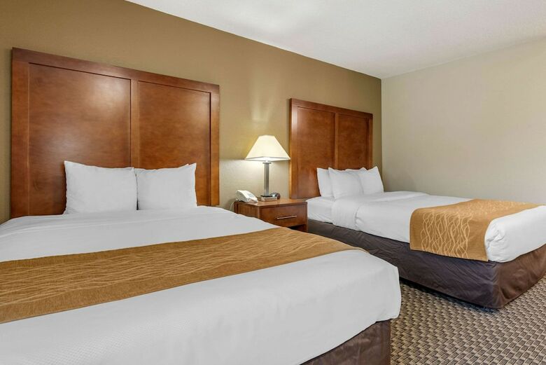 Hotel Comfort Inn South