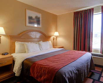 Hotel Comfort Inn (malvern)