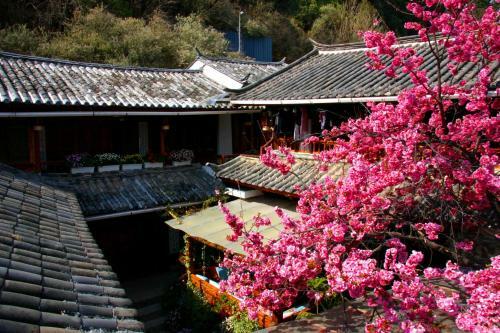 Lao Shay Youth Hostel Lijiang