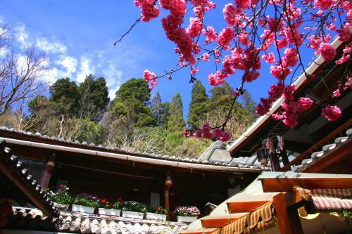 Lao Shay Youth Hostel Lijiang