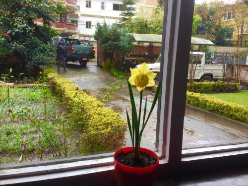 Hostal Epiphany Guest House