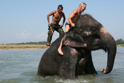 Hotel Rainbow Safari Resort
