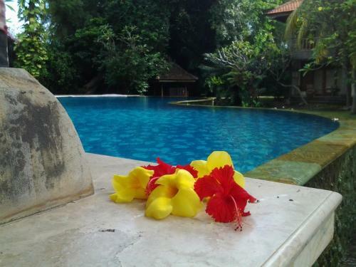 Hotel Nirwana Sea Side Cottages
