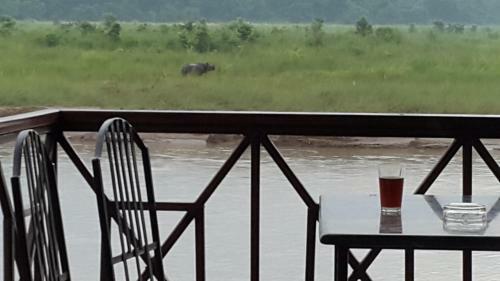 Lodge Jungle Wildlife Camp