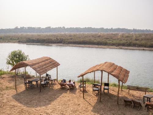 Lodge Jungle Wildlife Camp