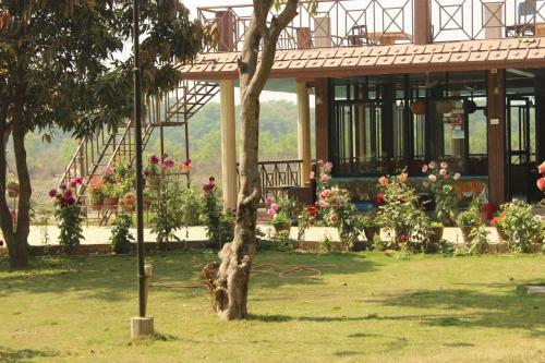Lodge Jungle Wildlife Camp