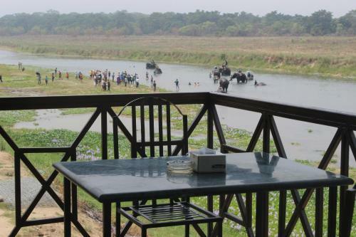 Lodge Jungle Wildlife Camp