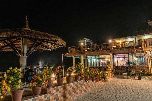 Lodge Jungle Wildlife Camp