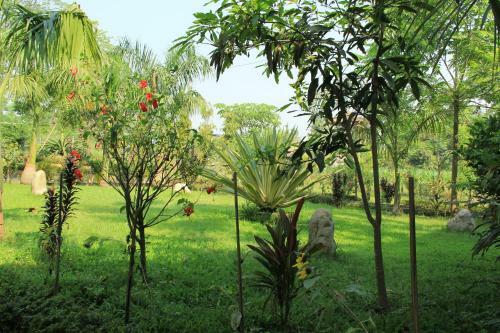 Hotel Chitwan Safari Camp & Lodge