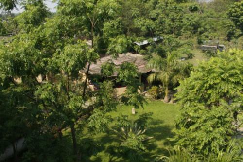 Hotel Chitwan Safari Camp & Lodge
