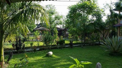 Hotel Chitwan Safari Camp & Lodge
