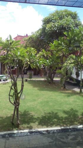 Hostal Puri Mandhara Lovina