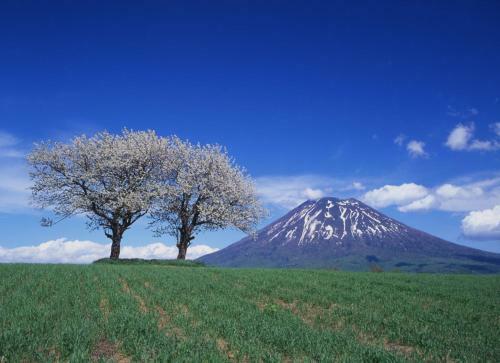 Hotel Niseko Northern Resort, An'nupuri