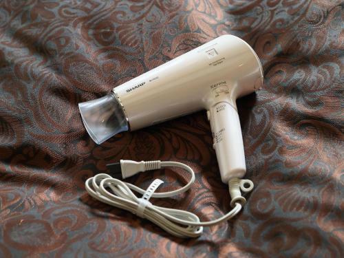 Hotel Fine Garden Sakai