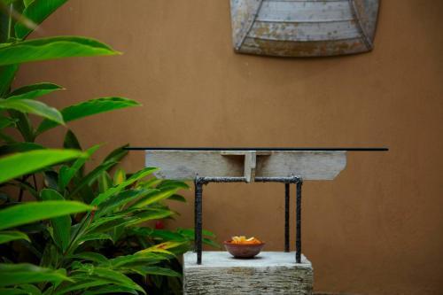 Hotel The Sungu Resort & Spa