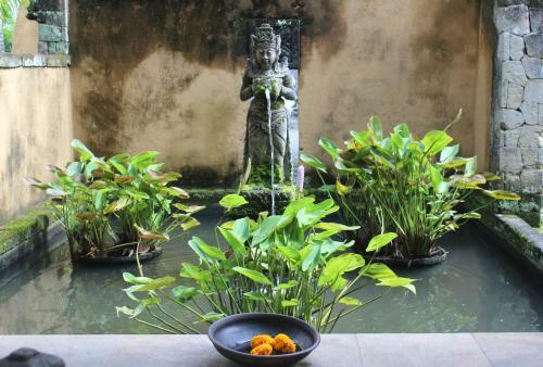 Hotel The Sungu Resort & Spa