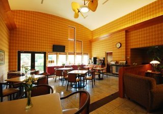 Hotel Comfort Suites (leesburg)