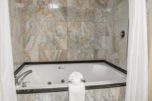 Hotel Comfort Suites (leesburg)