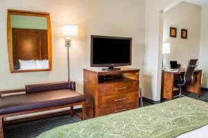 Hotel Comfort Suites (leesburg)