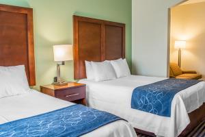 Hotel Comfort Suites (leesburg)