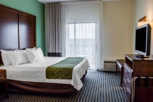 Hotel Comfort Suites (leesburg)