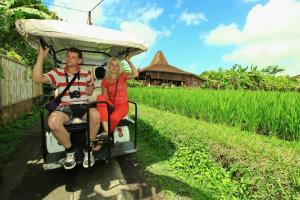 Villa Ubud Heaven Penestanan
