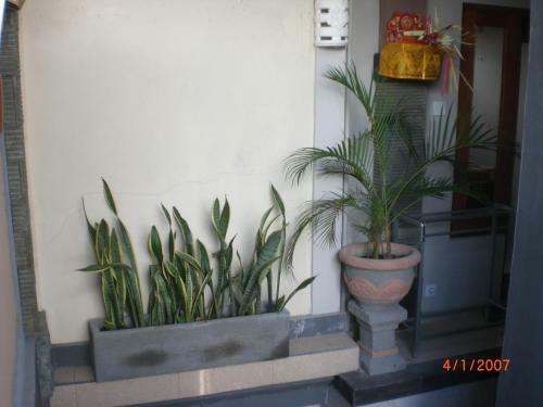 Hostal Adi House Homestay