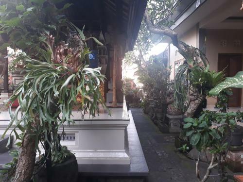 Hostal Adi House Homestay