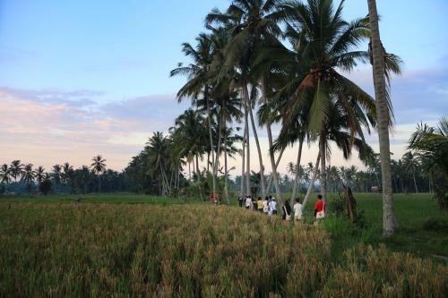 Hotel Om Ham Resort Ubud