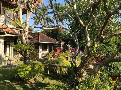 Bali Villa George