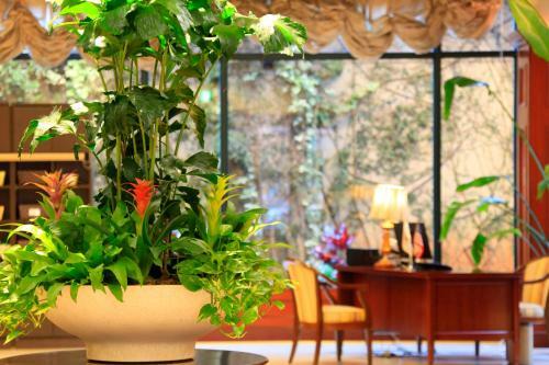Quintessa Hotel Sasebo