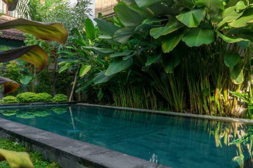 Hostal Eka Bali Guest House