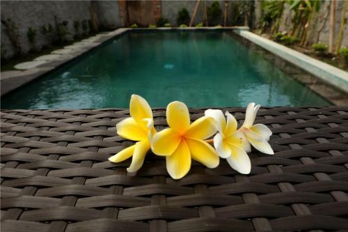 Hostal Eka Bali Guest House