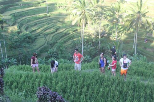 Cantik Homestay