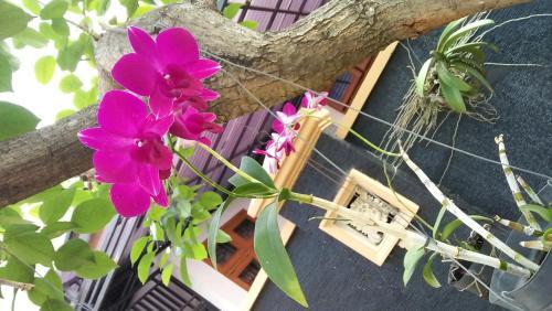 Roemah Canting Homestay