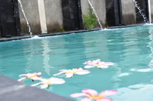 Hostal D Ajenk Boutique Guest House