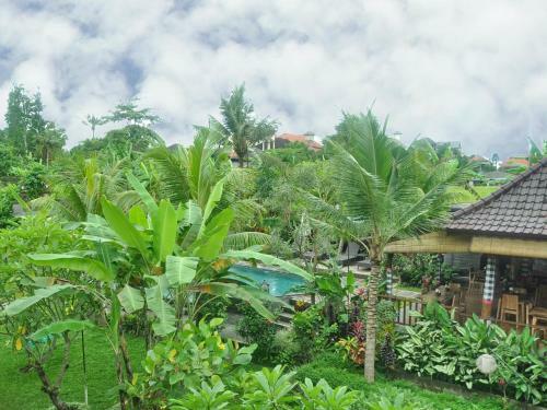 Bucu Guest House