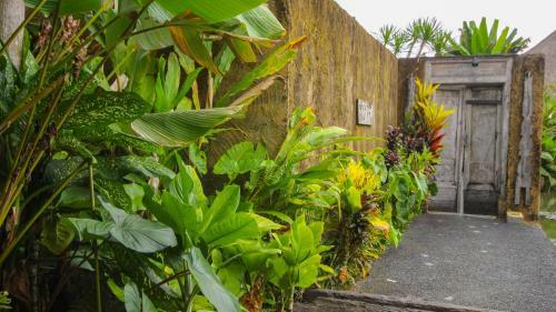 Hotel Sapu Lidi Resort Spa And Gallery