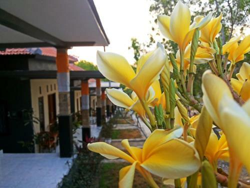 Hostal Tregge Surf Camp Uluwatu