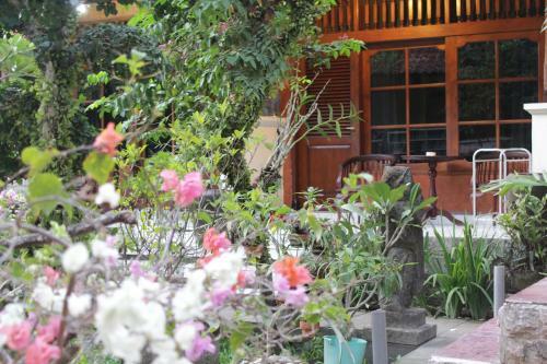 Hotel Agung And Sue Watering Hole I