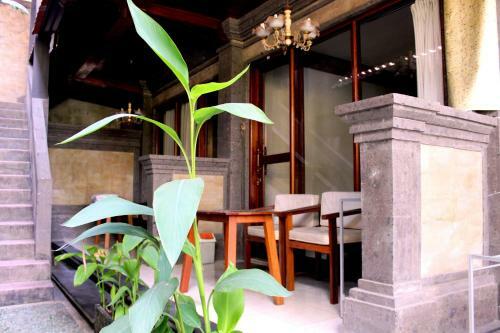 Hostal Dewa Bungalows