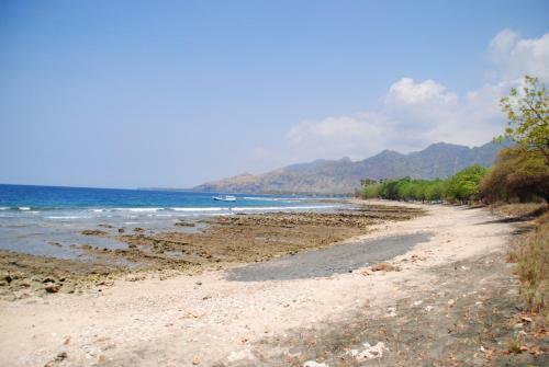 Bed & Breakfast Tiara Homestay Pemuteran Bali