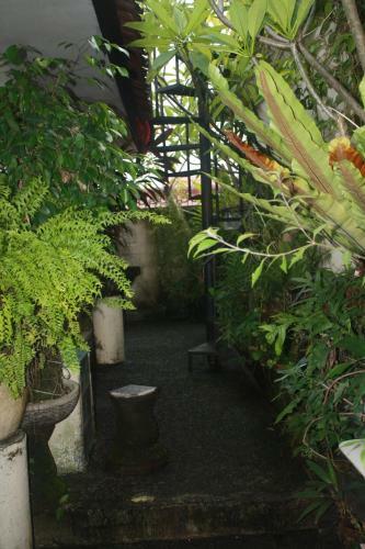 Hotel Gusti Homestay Kerobokan