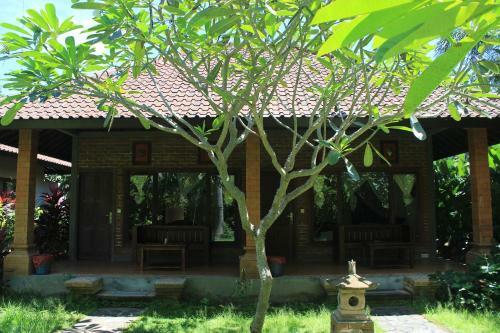 Hostal Badini Homestay Pemuteran Bali