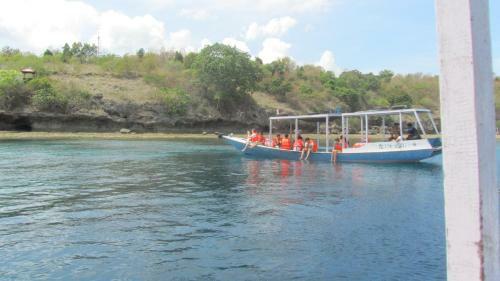 Hostal Badini Homestay Pemuteran Bali