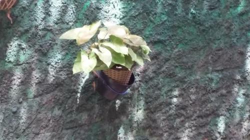 Sri Deva Guest House